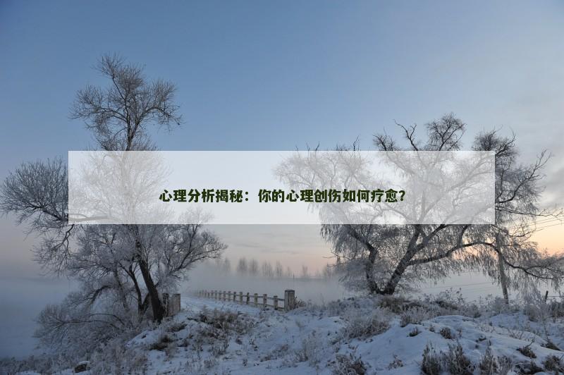 心理分析揭秘:你的心理创伤如何疗愈?
