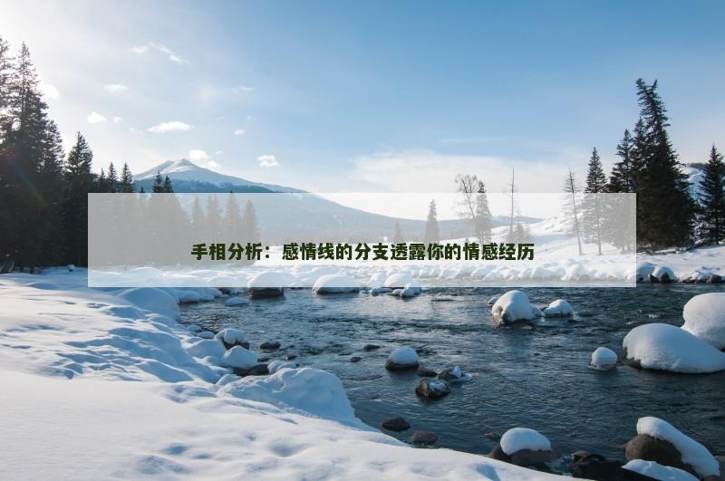 手相分析:感情线的分支透露你的情感经历