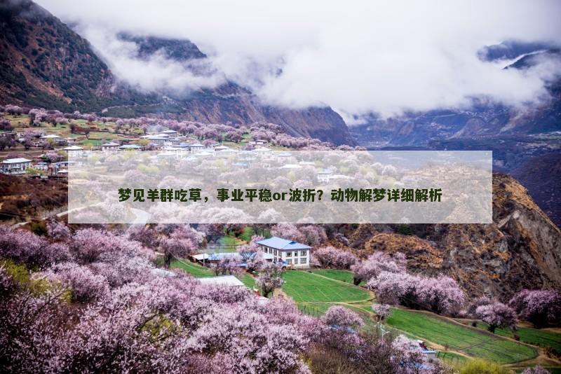 梦见羊群吃草,事业平稳or波折?动物解梦详细解析