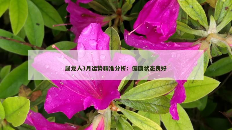 属龙人3月运势精准分析:健康状态良好