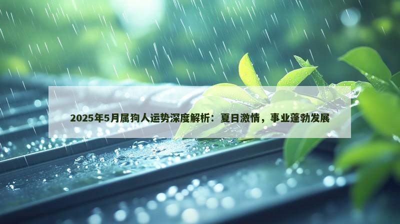 2025年5月属狗人运势深度解析:夏日激情,事业蓬勃发展