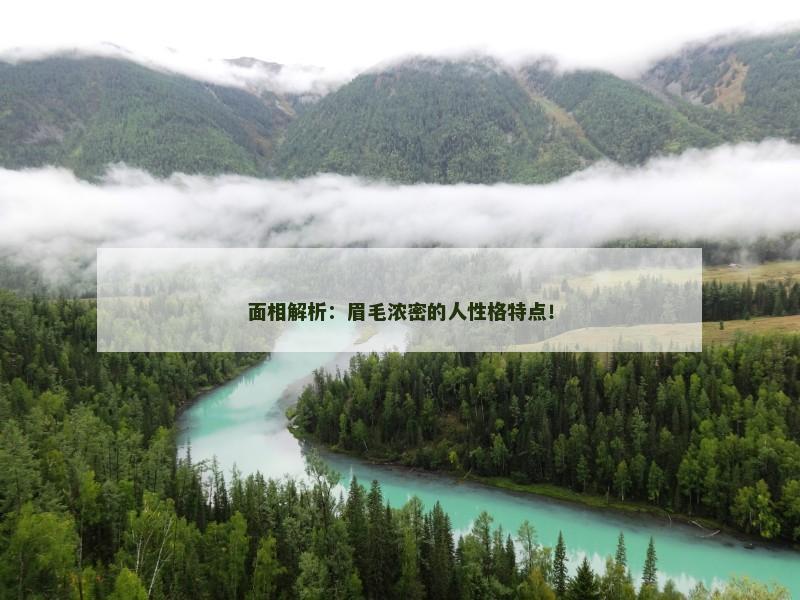 面相解析:眉毛浓密的人性格特点!