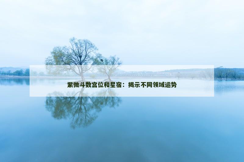 紫微斗数宫位和星宿:揭示不同领域运势