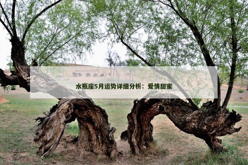 水瓶座5月运势详细分析:爱情甜蜜