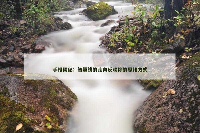 手相揭秘:智慧线的走向反映你的思维方式