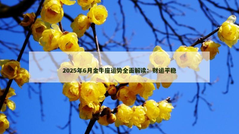 2025年6月金牛座运势全面解读:财运平稳