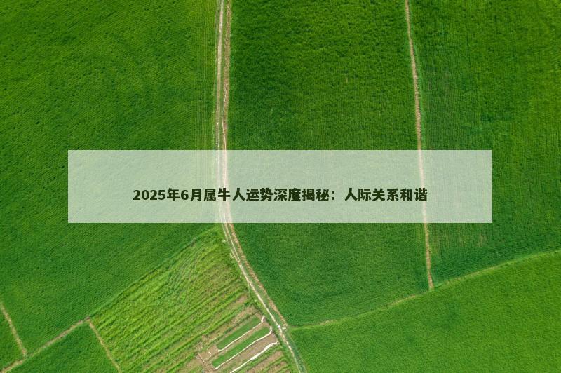 2025年6月属牛人运势深度揭秘:人际关系和谐