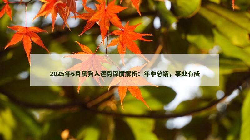 2025年6月属狗人运势深度解析:年中总结,事业有成