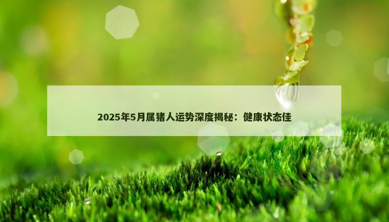 2025年5月属猪人运势深度揭秘:健康状态佳