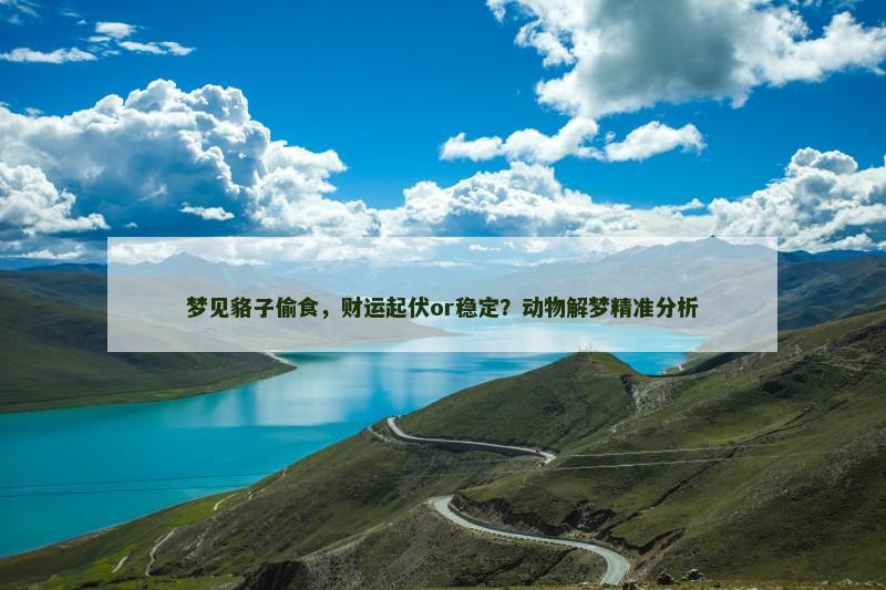 梦见貉子偷食,财运起伏or稳定?动物解梦精准分析