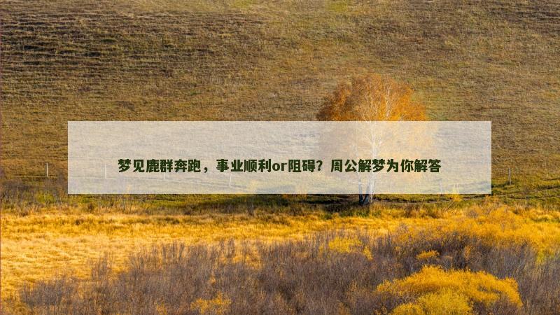 梦见鹿群奔跑,事业顺利or阻碍?周公解梦为你解答