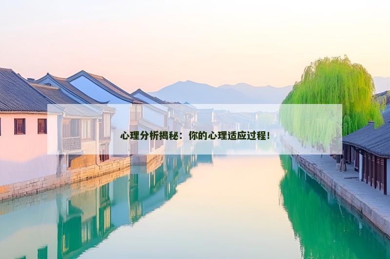 心理分析揭秘:你的心理适应过程!