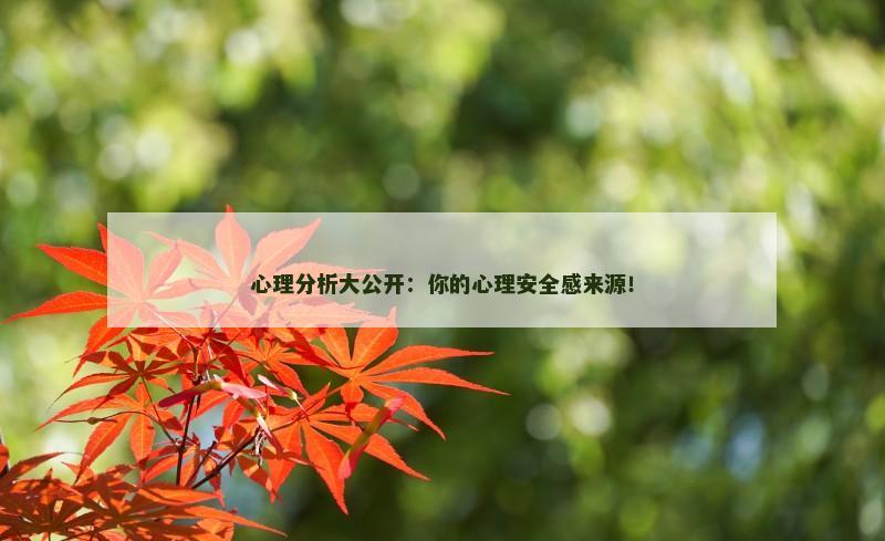 心理分析大公开:你的心理安全感来源!