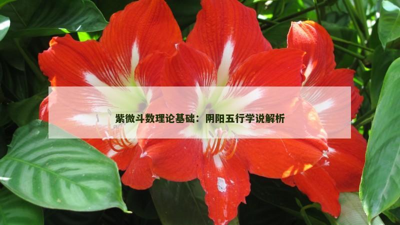 紫微斗数理论基础:阴阳五行学说解析