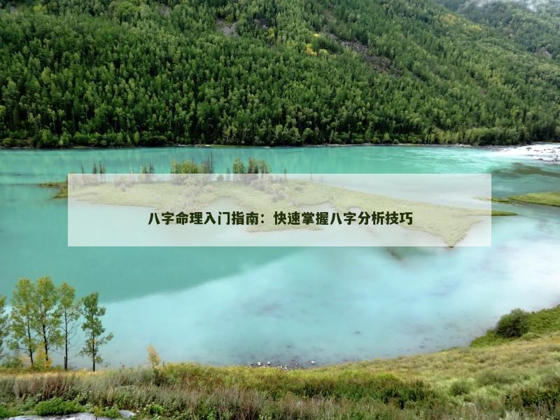 八字命理入门指南：快速掌握八字分析技巧