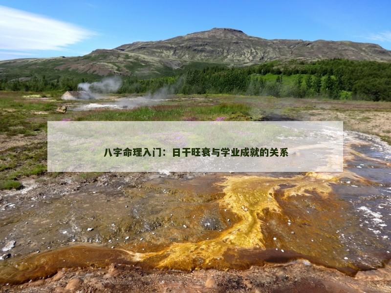 八字命理入门：日干旺衰与学业成就的关系