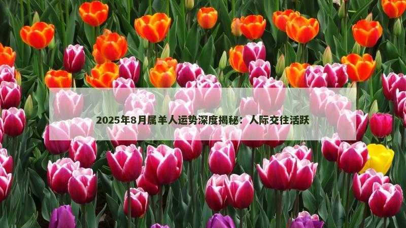 2025年8月属羊人运势深度揭秘:人际交往活跃