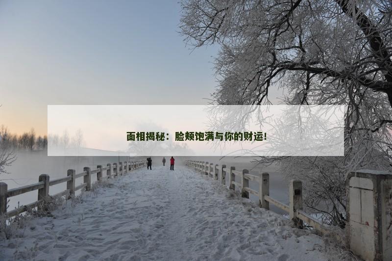 面相揭秘:脸颊饱满与你的财运!