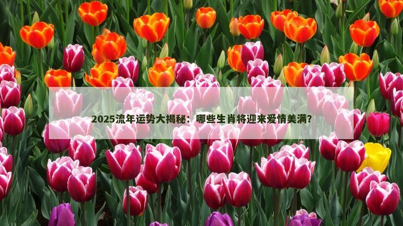 2025流年运势大揭秘:哪些生肖将迎来爱情美满?