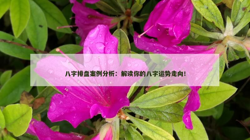 八字排盘案例分析:解读你的八字运势走向!