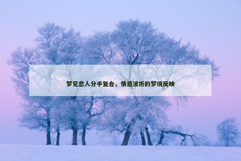 梦见恋人分手复合,情感波折的梦境反映