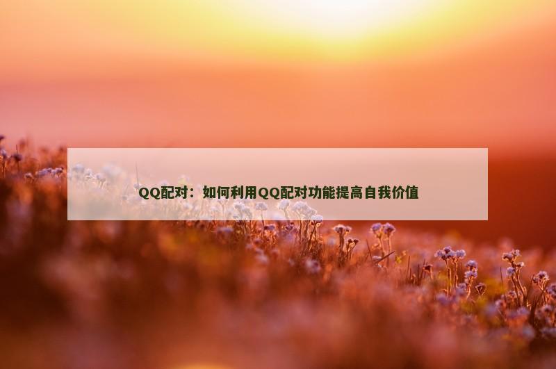 QQ配对：如何利用QQ配对功能提高自我价值