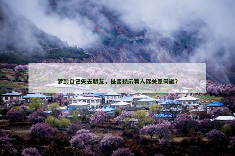 梦到自己失去朋友,是否预示着人际关系问题?