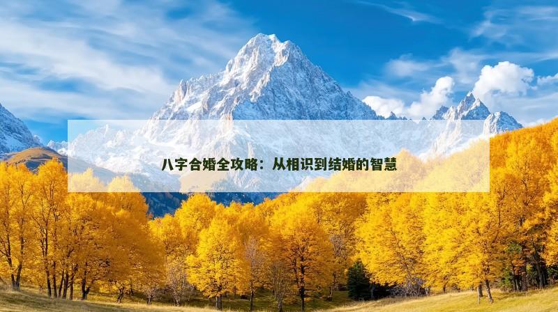 八字合婚全攻略：从相识到结婚的智慧
