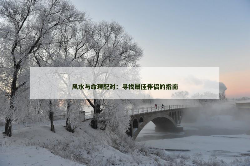 风水与命理配对:寻找最佳伴侣的指南