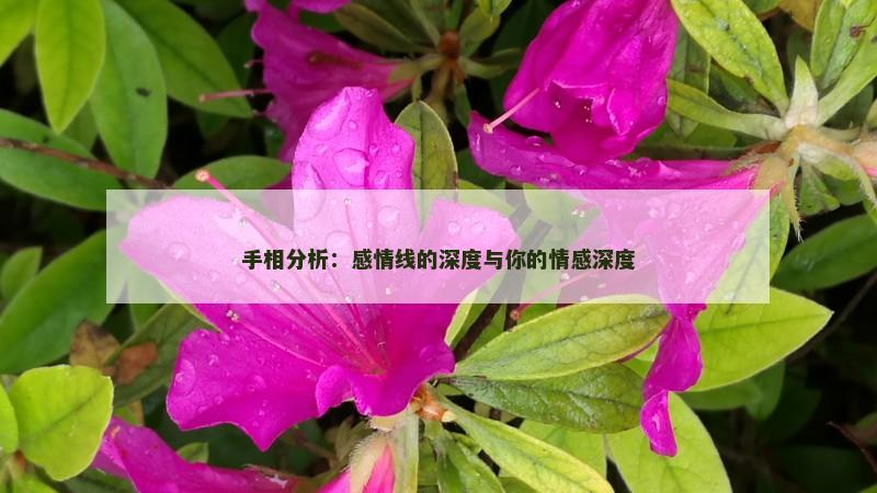 手相分析:感情线的深度与你的情感深度