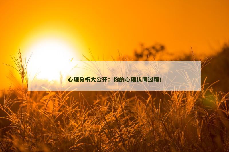 心理分析大公开:你的心理认同过程!
