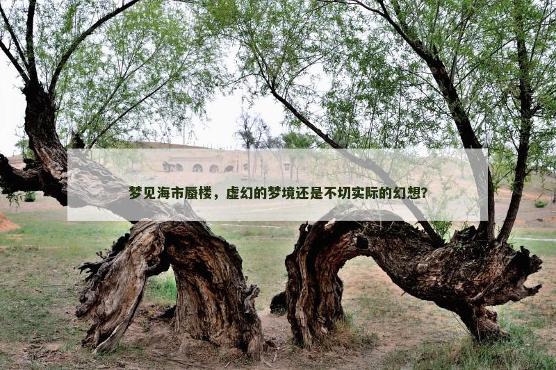 梦见海市蜃楼,虚幻的梦境还是不切实际的幻想?