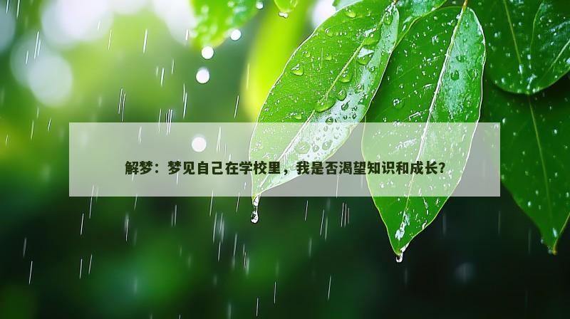解梦:梦见自己在学校里,我是否渴望知识和成长?