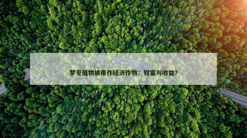 梦见植物被用作经济作物:财富与收益?