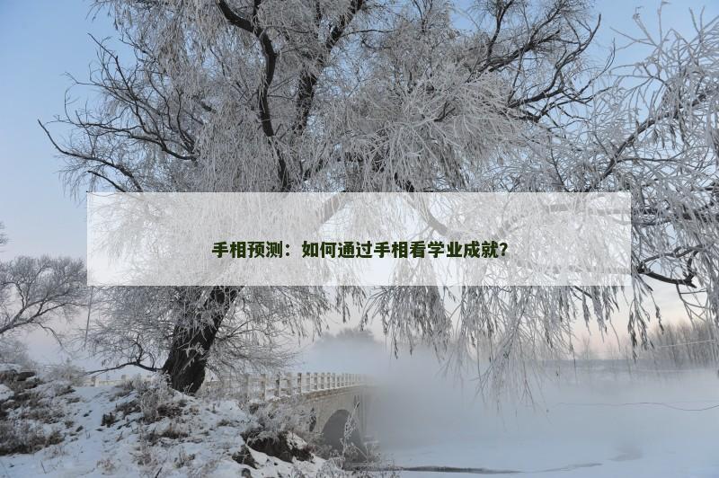 手相预测:如何通过手相看学业成就?