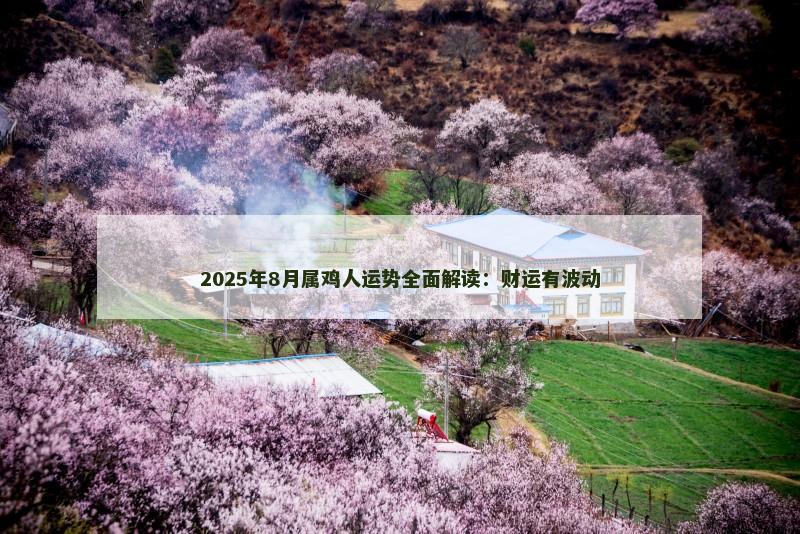 2025年8月属鸡人运势全面解读:财运有波动