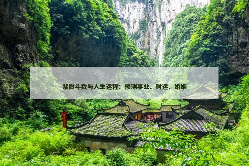 紫微斗数与人生运程:预测事业、财运、婚姻