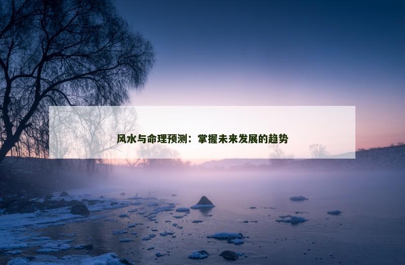 风水与命理预测:掌握未来发展的趋势