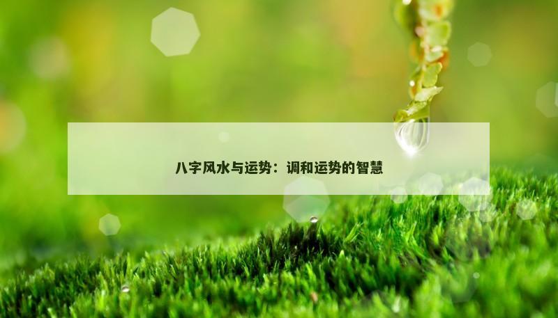 八字风水与运势:调和运势的智慧