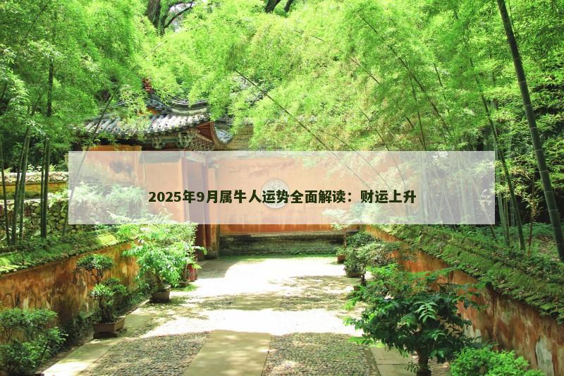 2025年9月属牛人运势全面解读:财运上升