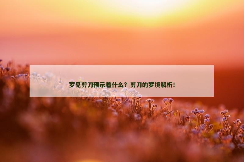 梦见剪刀预示着什么?剪刀的梦境解析!