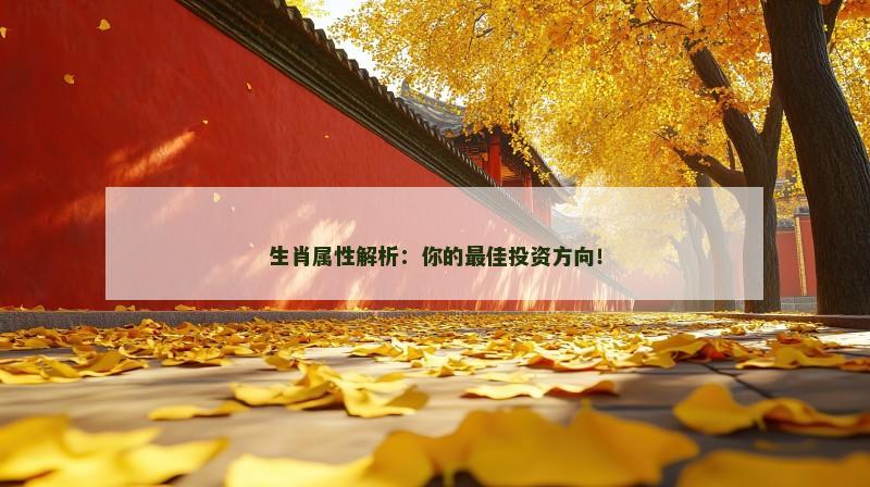 生肖属性解析:你的最佳投资方向!