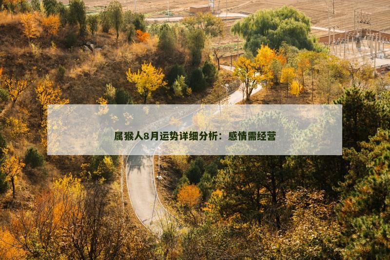 属猴人8月运势详细分析:感情需经营