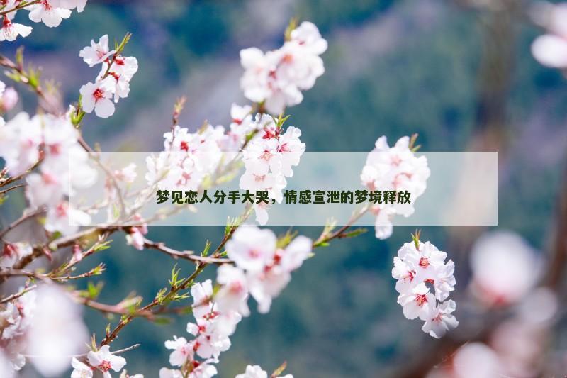 梦见恋人分手大哭,情感宣泄的梦境释放