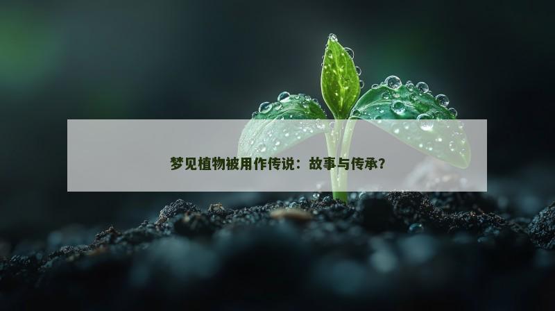 梦见植物被用作传说:故事与传承?