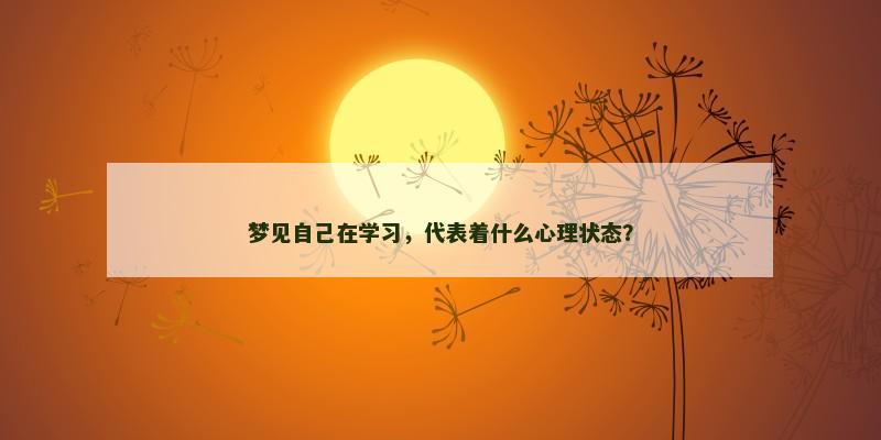 梦见自己在学习,代表着什么心理状态?