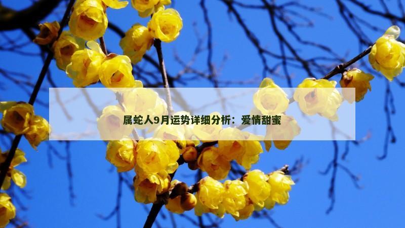 属蛇人9月运势详细分析:爱情甜蜜