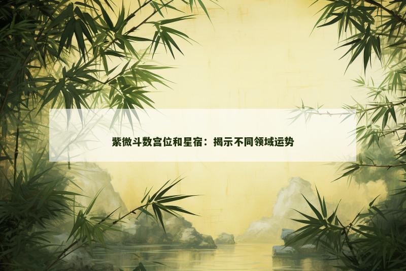紫微斗数宫位和星宿:揭示不同领域运势