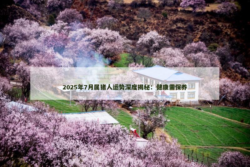 2025年7月属猪人运势深度揭秘:健康需保养