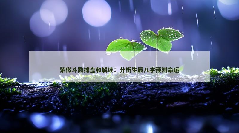 紫微斗数排盘和解读:分析生辰八字预测命运